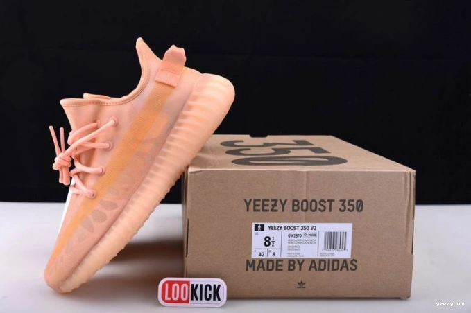 350 Adidas GW2870 Boost Yeezy V2 